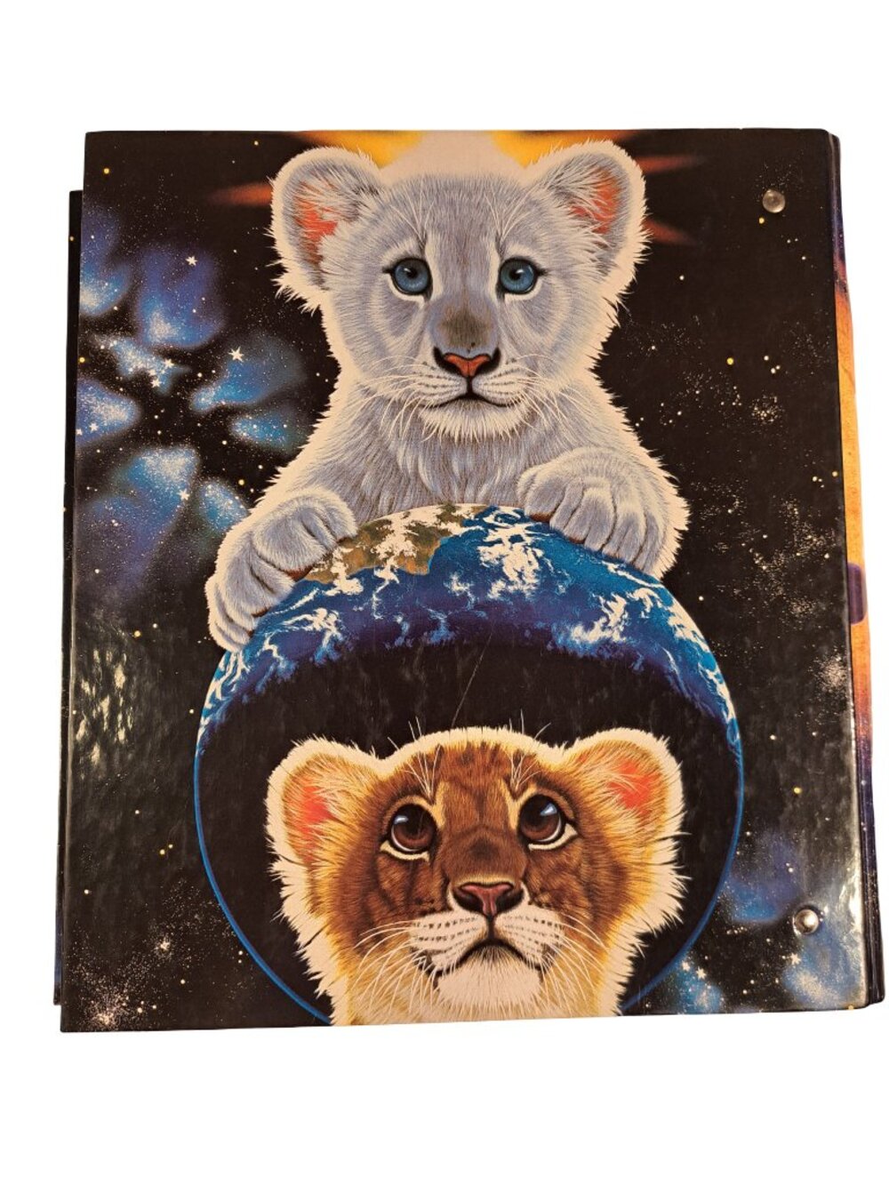Vintage Mead Schim Schimmel 3 Ring Binder Lion Cubs Space Whales 1998 RARE